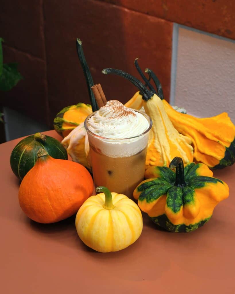Iced Pumpkin Spice Latte with cinnamon whipped cream and a cinnamon stick among pumpkins at Dulce de Saigon